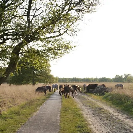 De Paddestoel Hotel Oisterwijk