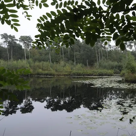 De Paddestoel Oisterwijk