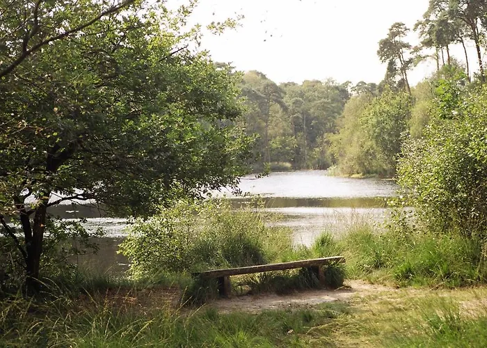 De Paddestoel Ξενοδοχείο