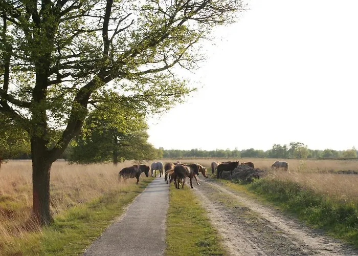 De Paddestoel Ξενοδοχείο Oisterwijk