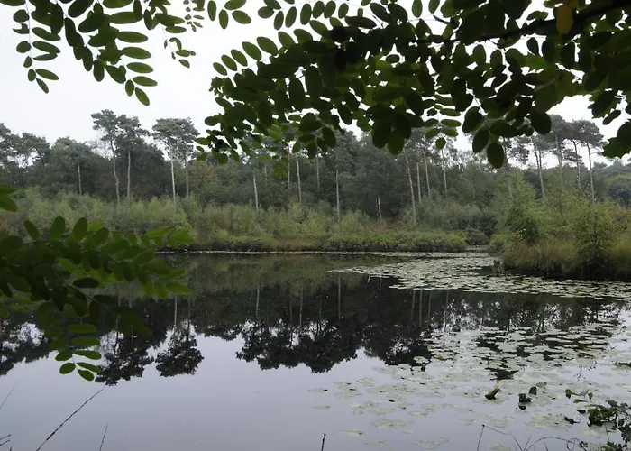 De Paddestoel Oisterwijk