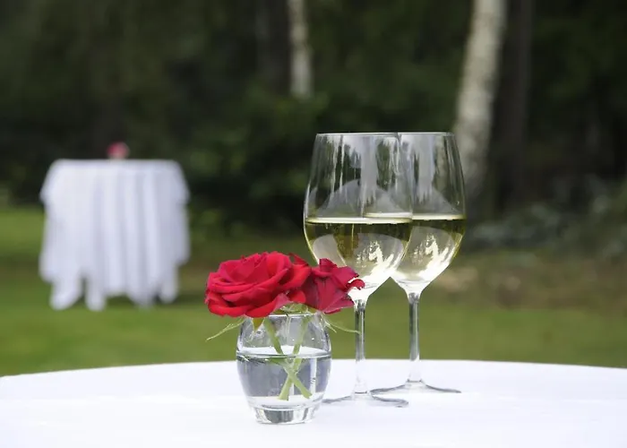 Ξενοδοχείο De Paddestoel 3*