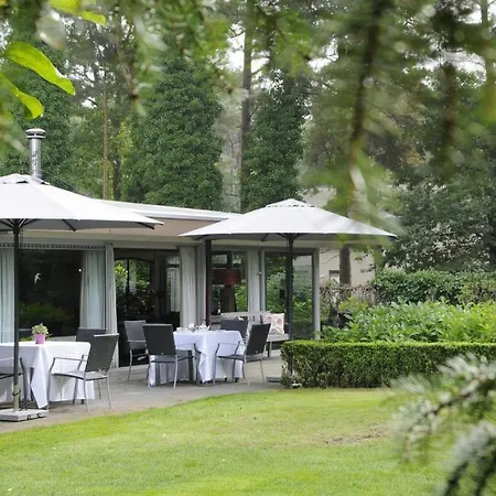 فندق De Paddestoel