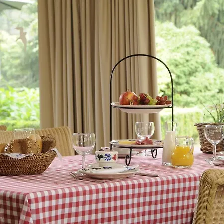 فندق De Paddestoel 3*