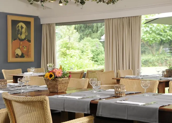 De Paddestoel 3* Oisterwijk